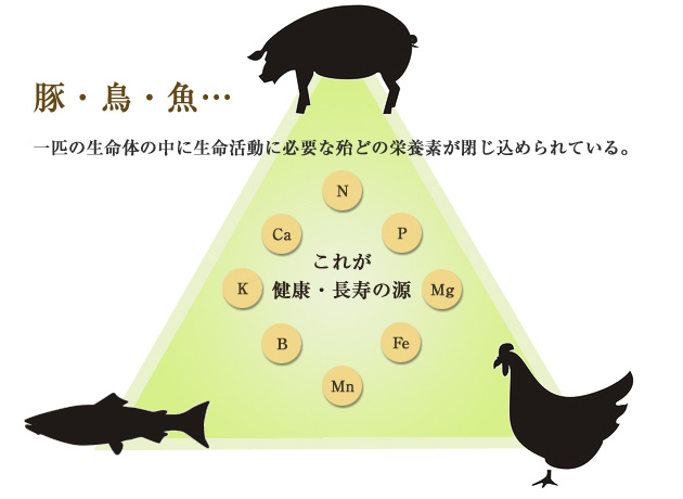 土の食養生に適した肥料のヒントイメージ